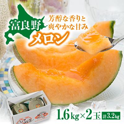ふるさと納税 富良野市 【2026年発送】赤肉メロン　1.6kg×2玉