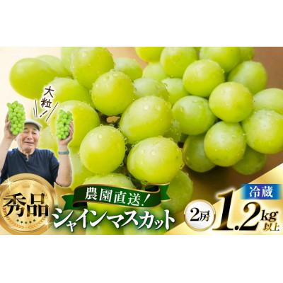 ふるさと納税 高畠町 【期間限定発送】シャインマスカット　秀品1.2kg以上(2房)