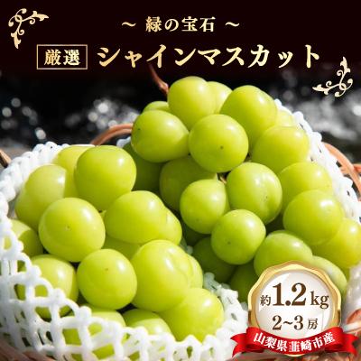 ふるさと納税 韮崎市 〜緑の宝石〜 厳選 シャインマスカット 約1.2kg(2〜3房)　山梨県韮崎市産【2026年発送】