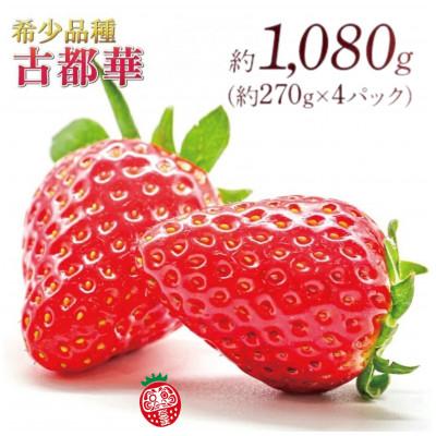 ふるさと納税 奈良市 【先行受付】2027年(令和9年)1月以降順次発送 厳選古都華いちご(270g×4P) drm001