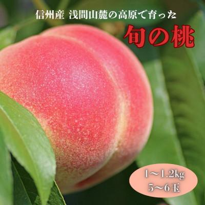 ふるさと納税 御代田町 長野県浅間山麓　御代田町の桃　家族で楽しむ食べ切りハーフ箱(1〜1.2kg)