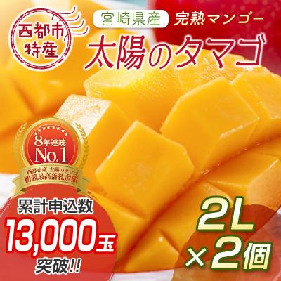 ふるさと納税 西都市 西都市特産品 太陽のタマゴ2L×2個  宮崎県産完熟マンゴー【先行受付】[1905]