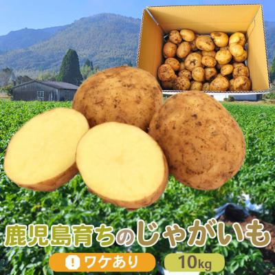 ふるさと納税 薩摩川内市 【訳あり】【数量限定】ママたちの想いをギュッ! ほくほくじゃがいも ニシユタカ ZS‐715