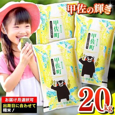 ふるさと納税 甲佐町 『甲佐の輝き』精米20kg【11月より新米発送】　令和8年産　新米【ZN】