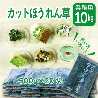 ふるさと納税 高原町 宮崎県産ほうれん草 大容量10kg　特産品開発590