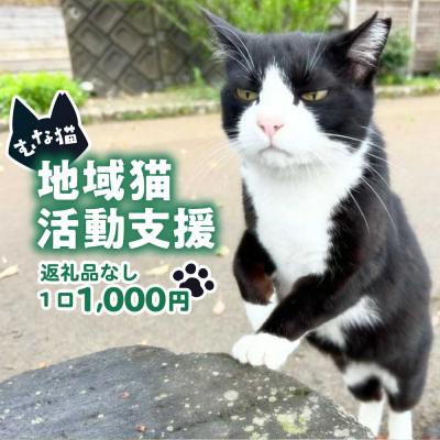 ふるさと納税 宗像市 【返礼品なし】「むな猫(旧:てくてくさくらねこ)」　地域猫活動支援【むな猫】_HA1118