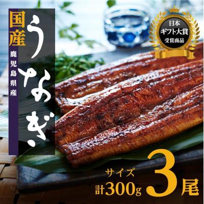 ふるさと納税 大崎町 【数量限定】鹿児島県産うなぎ長蒲焼3尾　 (合計300g以上)