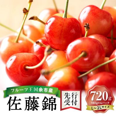 ふるさと納税 余市町 【先行受付】令和8年産佐藤錦【L〜2Lバラ詰め】180g×4【ニトリ観光果樹園】_Y074-0136