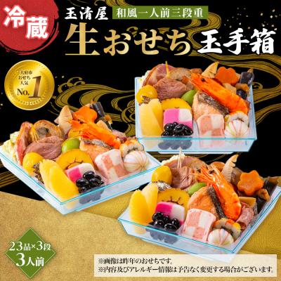 ふるさと納税 大府市 玉清屋 生おせち 玉手箱 和風一人前三段重 23品×3段(3人前) 冷蔵発送・12/31到着限定