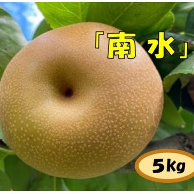 ふるさと納税 伊那市 【数量限定】ガブッ!シャキ!ジュワー!と甘すぎ南水(梨　南水　5キロ)