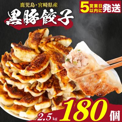 ふるさと納税 下関市 訳あり 黒豚餃子 12粒×15パック(180粒) 国産餃子 冷凍 小分けパック たれ付き IB006