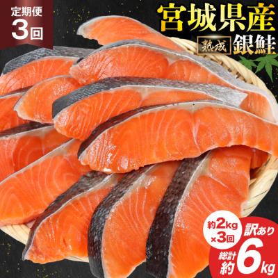 ふるさと納税 気仙沼市 定期便《3ヶ月》 訳あり 宮城県産 銀鮭 切身 約2kg×3回 計6kg [20564500]