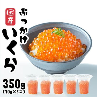 ふるさと納税 陸前高田市 国産 鮭いくら醤油漬け 350g(70g×5個) 小分け おためし