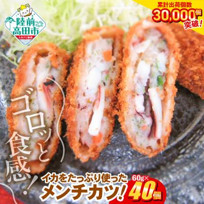ふるさと納税 陸前高田市 ゴロっとイカメンチ 60g×40個 合計2.4kg 冷凍 業務用 大容量 惣菜 揚げ物 フライ