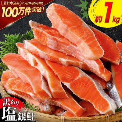 ふるさと納税 気仙沼市 訳あり 鮭 切身 約1kg [宮城東洋 宮城県 気仙沼市 20564663] サーモン