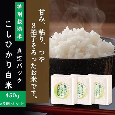 ふるさと納税 八頭町 【令和7年産新米】コシヒカリ450g×3個【3個入りお米ギフト】