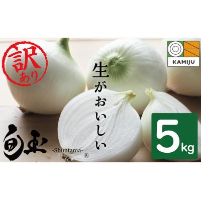 ふるさと納税 碧南市 (予約受付) ≪某TVで紹介≫ 訳あり 神重農産のブランド玉ねぎ「旬玉」5kg H105-203
