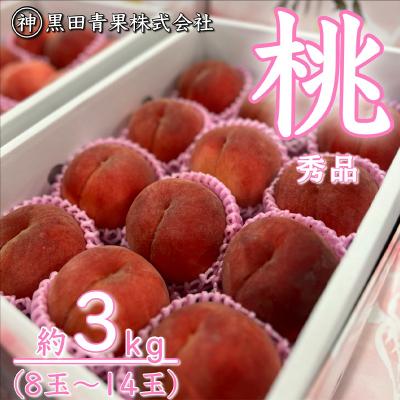 ふるさと納税 山形市 山形産 白桃 秀 3kg(8玉〜14玉) 【令和8年産】FU23-315