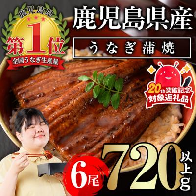 ふるさと納税 曽於市 無投薬!鹿児島県産うなぎ蒲焼セット<定番>(計720g・ 約120g×6尾) タレ・山椒付き