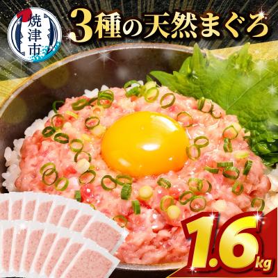 ふるさと納税 焼津市 ネギトロ100g×16パック 合計1.6kg(a10-1289)