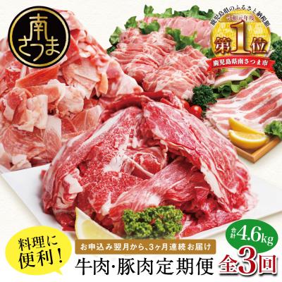ふるさと納税 南さつま市 【定期便 全3回】鹿児島県産 便利な牛肉・豚肉 定期便 計4.6kg