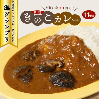 ふるさと納税 国東市 おおいたイチ押し!!豊後きのこカレー11食分_1296R