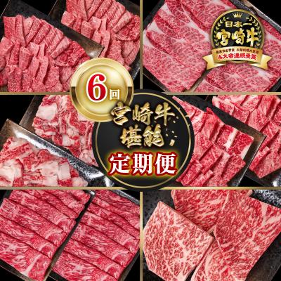 ふるさと納税 西都市 【定期便】宮崎牛6回定期便 小分け A4〜A5等級 内閣総理大臣賞4連覇ya[2950]