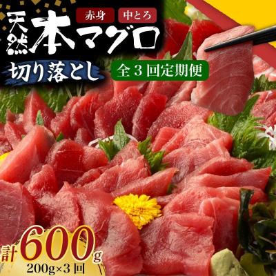 ふるさと納税 室戸市 【 3回定期便 】 天然本マグロ 中トロ 赤身 切り落とし 200g 小分け(100g×2パック)