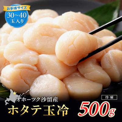 ふるさと納税 興部町 【お手頃サイズ】オホーツク産ホタテ500g【21037】