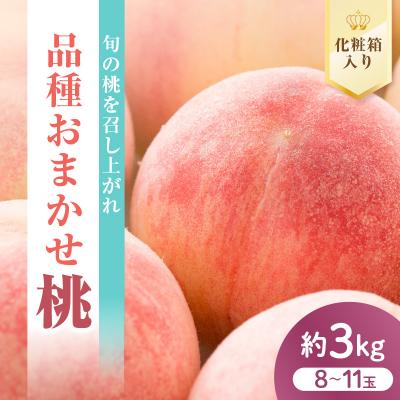 ふるさと納税 米沢市 【先行受付】数量限定 令和8年産 もも 品種 おまかせ 約3kg 8〜11玉