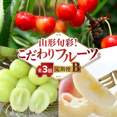 ふるさと納税 大江町 【発送月固定】山形旬彩!こだわりフルーツ定期便全3回B 063-T02