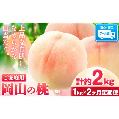 ふるさと納税 笠岡市 桃 岡山の桃 約1kg×2ヶ月定期便《7月上旬-8月末頃出荷》岡山県 笠岡市 ご家庭用 白桃