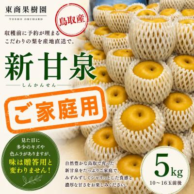 ふるさと納税 湯梨浜町 新甘泉5kg〔ご家庭用〕■東商果樹園■(362M.)