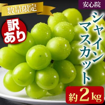ふるさと納税 宇佐市 訳ありシャインマスカット2kg 青秀【106301400】【大分県農協北部エリア】