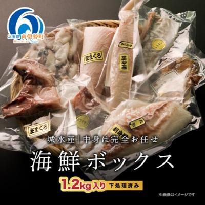 ふるさと納税 南伊勢町 【2ヵ月毎定期便】訳あり 伊勢志摩産 海鮮 お宝ボックス 約1.2kg 特産の刺身、干物など全2回