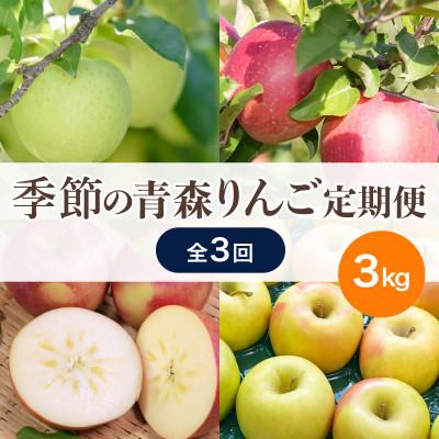 ふるさと納税 黒石市 【発送月固定定期便】青森りんご 訳あり 品種おまかせ 3kg 12月〜2月全3回