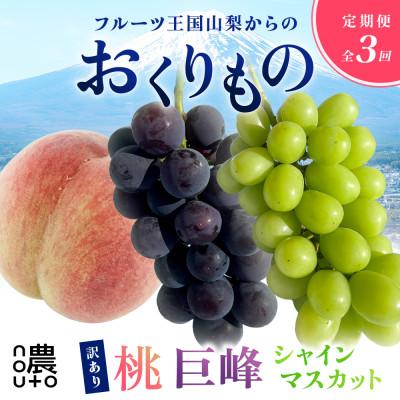 ふるさと納税 笛吹市 【発送月固定定期便】訳あり 山梨 人気の果物 桃・巨峰・シャインマスカット全3回