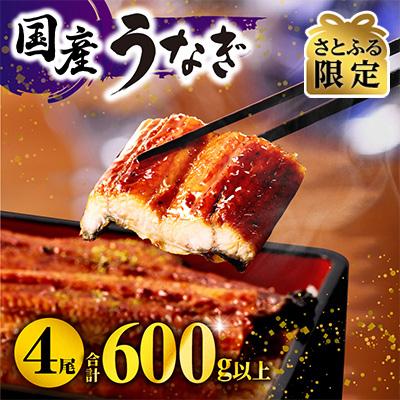 ふるさと納税 宮崎市 【さとふる限定】九州産　うなぎ蒲焼4尾(計600g)