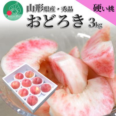 ふるさと納税 山形県 白桃 おどろき 3kg(5〜12玉前後) 大玉 ギフト用 山形県産 【令和8年産 先行受付】