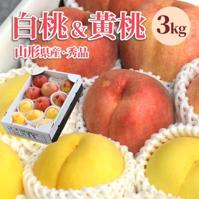 ふるさと納税 山形県 白桃&黄桃 3kg(7〜13玉前後) ギフト用 品種おまかせ 山形県産 【令和8年産 先行受付】