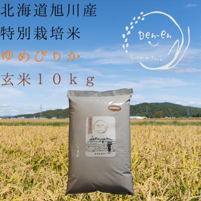 ふるさと納税 旭川市 令和5年産 株式会社うけがわファームDEN-ENの特別栽培米「ゆめぴりか」玄米 10kg