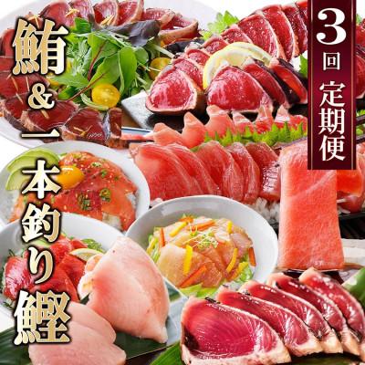 ふるさと納税 枕崎市 定期便(3ケ月)枕崎ふるさと納税　まぐろ&一本釣りかつお LL-6001