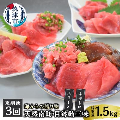 ふるさと納税 焼津市 海からの贈り物 焼津天然まぐろ三昧(3回お届け)定期便(a30-232)