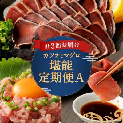 ふるさと納税 室戸市 【定期便3回】カツオとマグロ堪能定期便A かつおのたたき まぐろ切り落とし ネギトロ