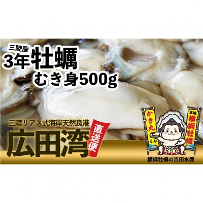 ふるさと納税 陸前高田市 むき身牡蠣 Lサイズ 500g 【 横綱牡蠣の吉田水産 】 かき カキ 魚介類 三陸産
