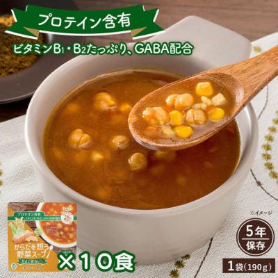 ふるさと納税 出雲市 【からだを想う野菜スープ】ひよこ豆カレー10食セット/レトルト/食物アレルギー対応/長期保存/防災食