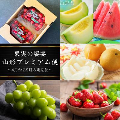 ふるさと納税 山形県 【発送月固定定期便】2026年度先行予約　果実の饗宴 山形プレミアム便全4回