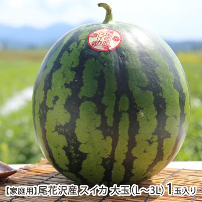 【家庭用】山形県 尾花沢産 スイカ 大玉（L〜3L）1玉入り（1玉あたり約5〜8kg）/株式会社アグリカルチャー市蔵/送料無料