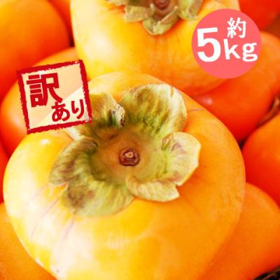 訳あり 庄内柿 約5kg 山形県産 しょうないがき 送料無料