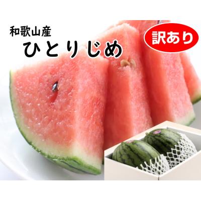 小玉すいか ひとりじめ 2玉 ちょっと訳ありご家庭用です  和歌山産 送料無料